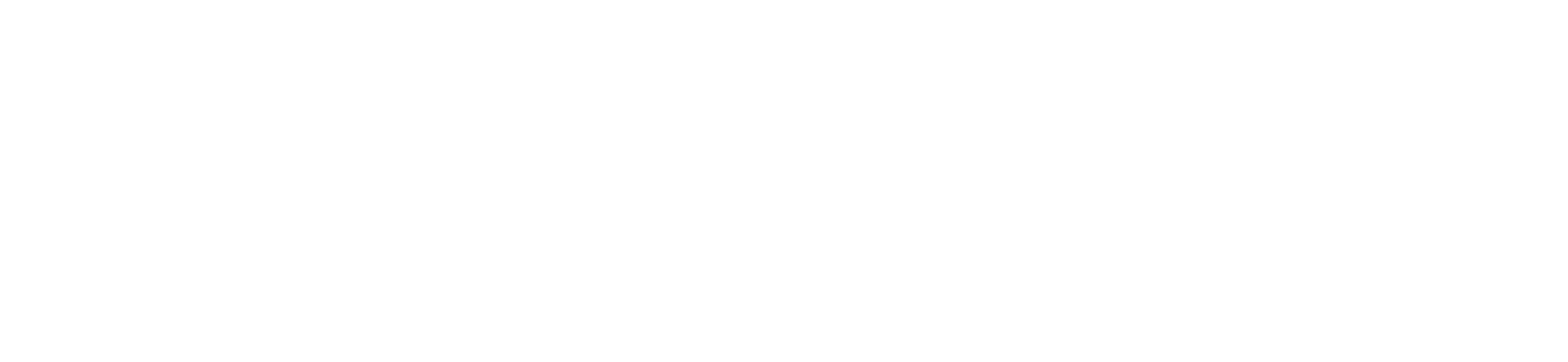 logo-bmdc-digital